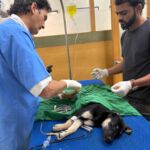 Two Sisters, Two Recoveries