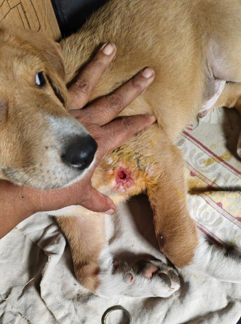 WhatsApp Image 2026 03 11 at 13.23.16 1 e1773483065779 762x1024