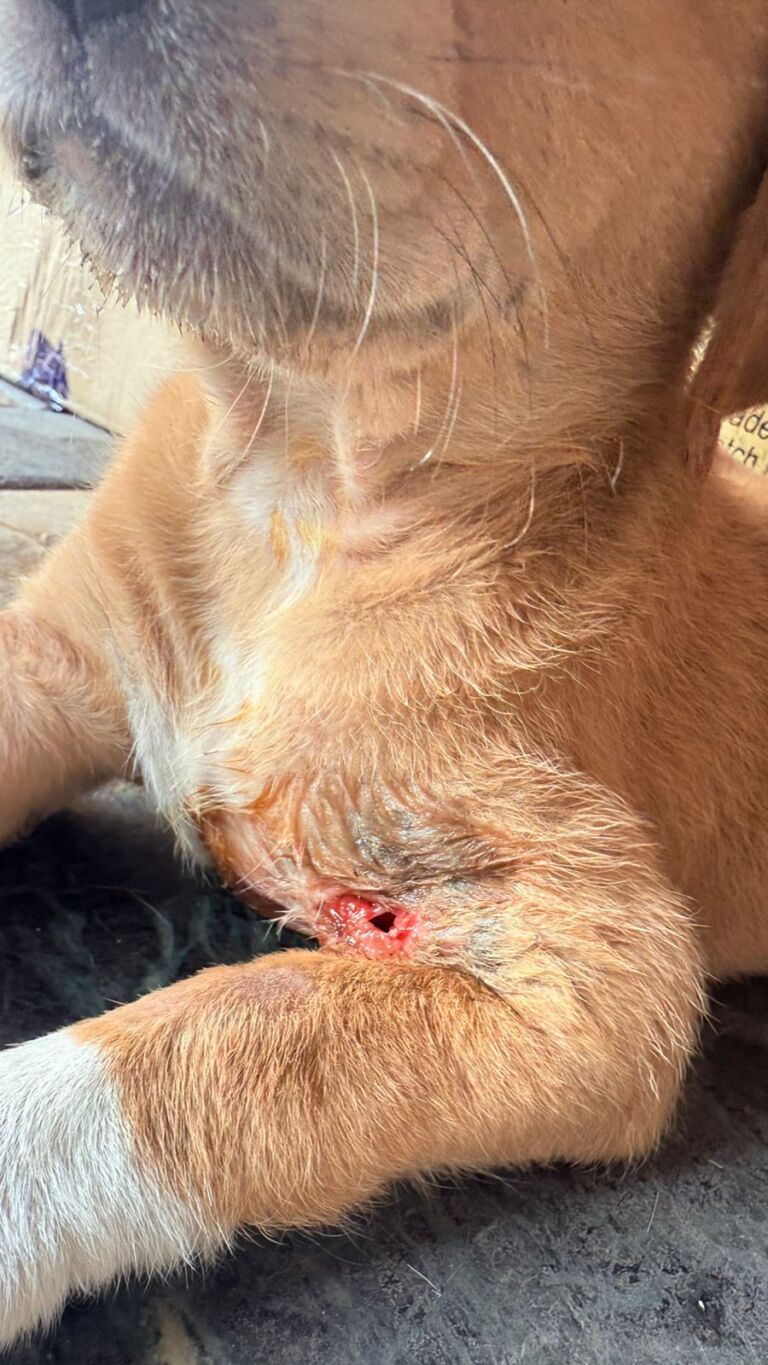 WhatsApp Image 2026 03 11 at 13.23.16 576x1024