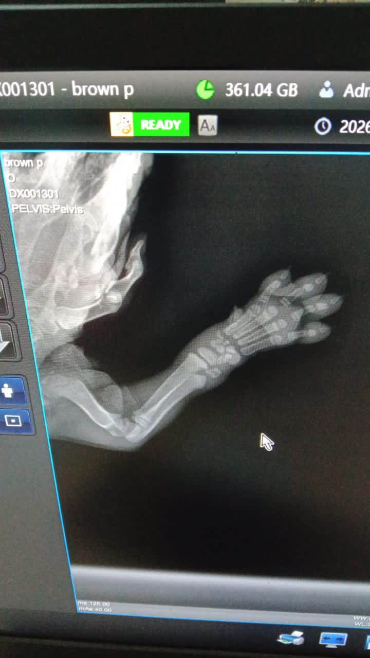 WhatsApp Image 2026 03 11 at 13.23.17 576x1024