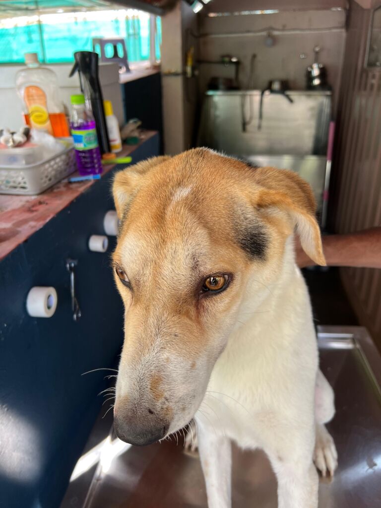 WhatsApp Image 2026 03 15 at 20.37.46 1 768x1024