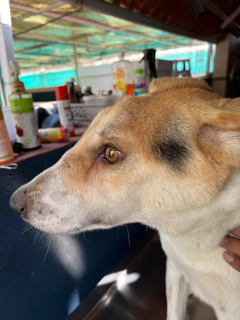 WhatsApp Image 2026 03 15 at 20.37.46 2 768x1024