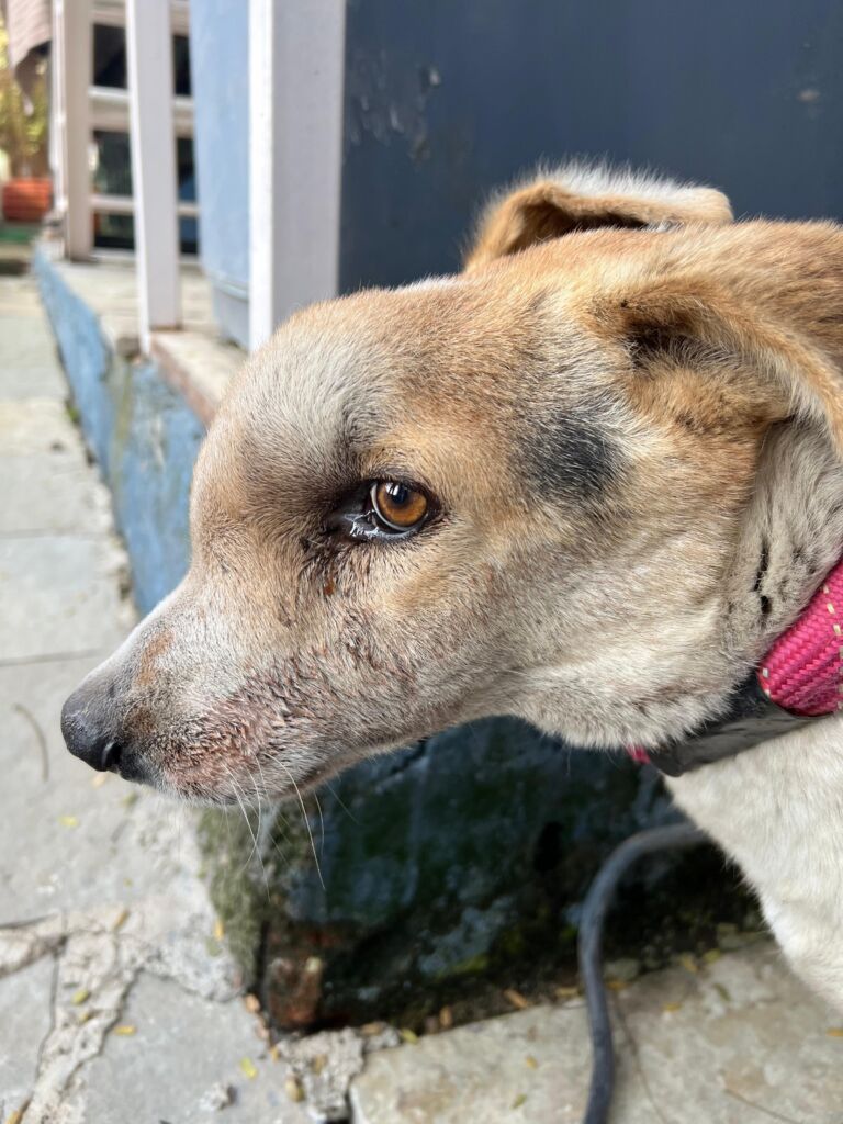 WhatsApp Image 2026 03 15 at 20.37.46 768x1024