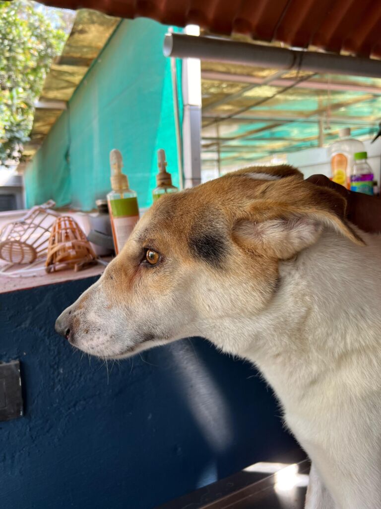 WhatsApp Image 2026 03 15 at 20.37.47 1 768x1024