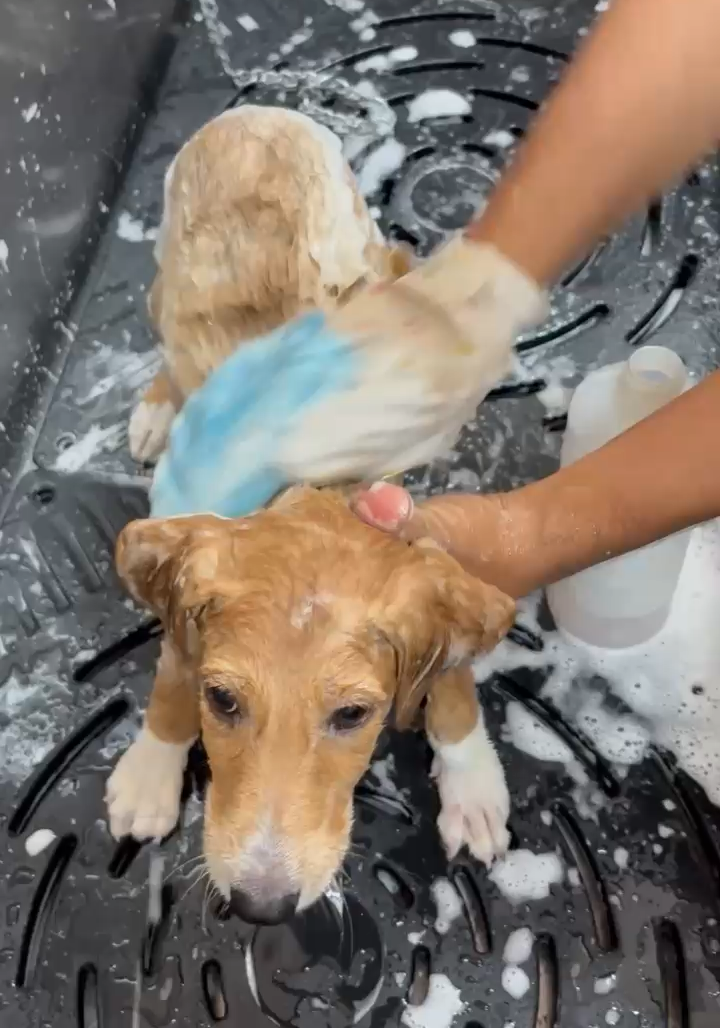 i1 e1773480406101 717x1024