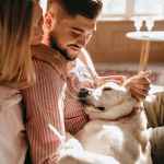 The role of veterinary specialists in complex cases